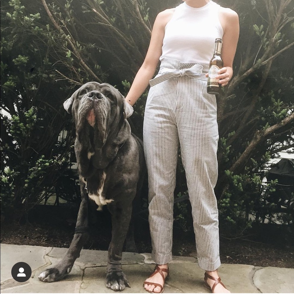 reformation paper bag waist pants